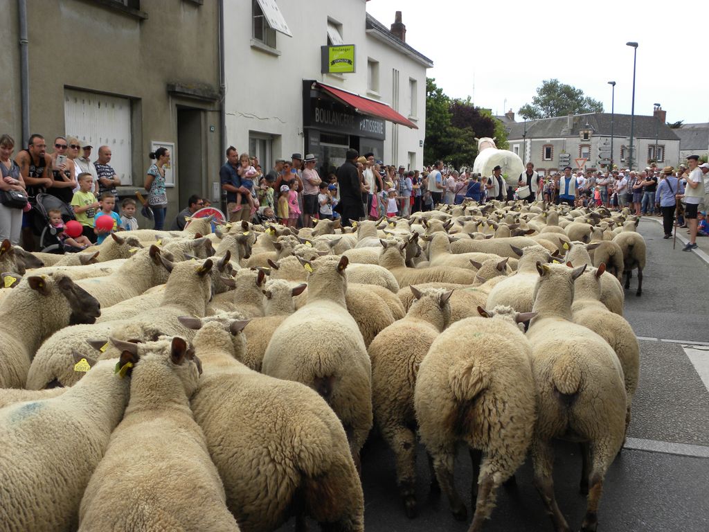 Le Défilé Fête du mouton Ligné 44 Association Festouailles